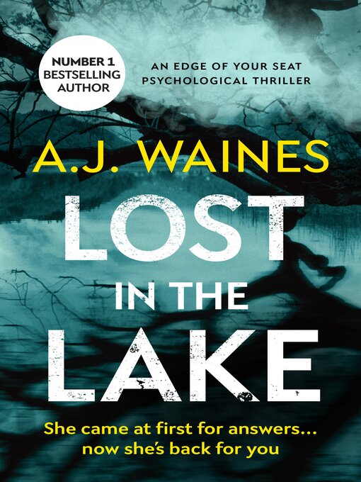 Title details for Lost in the Lake by AJ Waines - Available